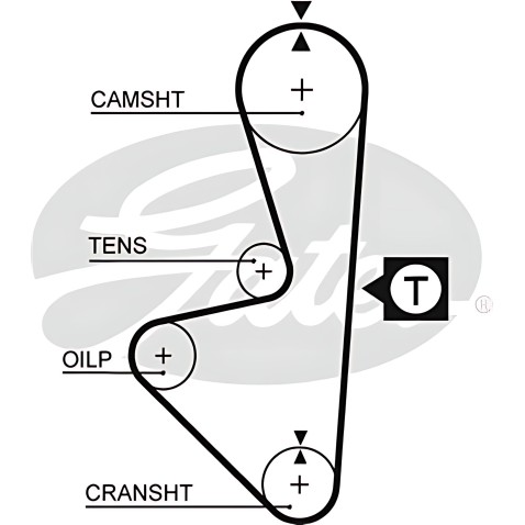 6263MC Ремінь клиновий AVX 10х865 (вир-во Gates) фото від Мотор-Агро Харків Україна