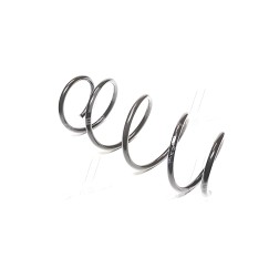 RD.34110052 Пружина підв. RENAULT MEGANE II, SCENIC II 03-07 передн. (RIDER) фото від Мотор-Агро Харків Україна