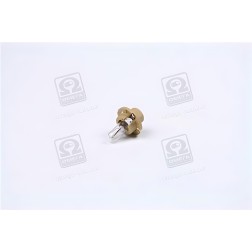 2452MFX6 Лампа допоміжн. освітлення 12V 1,5W (вир-во OSRAM) фото від Мотор-Агро Харків Україна