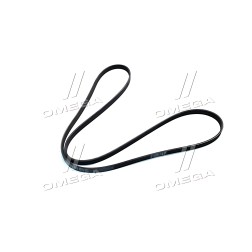 5PK2020 Ремінь полікліновий BMW X5 (E53) 3.0 d (Вир-во Contitech) фото від Мотор-Агро Харків Україна