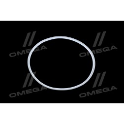 740.1024031 Кільце газового стику КАМАЗ ущільнювальне (фторопласт) (DETALKA) фото від Мотор-Агро Харків Україна