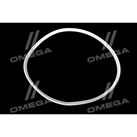 740.1024031 Кільце газового стику КАМАЗ ущільнювальне (фторопласт) (DETALKA) фото від Мотор-Агро Харків Україна