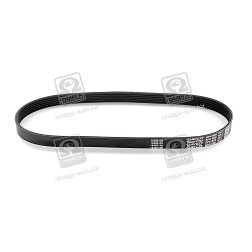 6PK825 Ремінь поліклін. (вир-во DAYCO) фото від Мотор-Агро Харків Україна