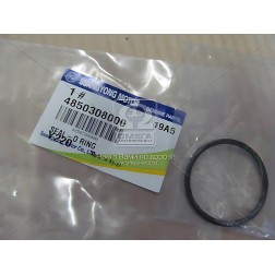 4850308000 Кільце ущільнююче ГГЦ Rodius, Kyron, Actyon (Sports 2012), New Actyon, Rexton (вир-во SsangYong) фото від Мотор-Агро 