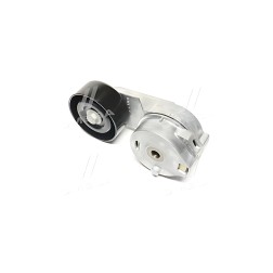 VKM 31066 Роликовий модуль натягувача ременя VW LT 28-46 II 2.8 TDI (Вир-во SKF) фото від Мотор-Агро Харків Україна