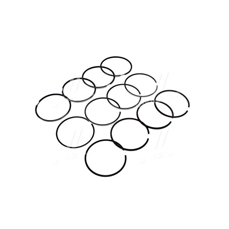 RD.405.1000100-АР Кільця поршневі 96,0 М/К дв.405,409 (RIDER) фото від Мотор-Агро Харків Україна