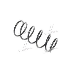 RD.34110121 Пружина підв. RENAULT KANGOO 97- передн. (RIDER) фото від Мотор-Агро Харків Україна