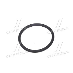 R502703 Кільце ущільнювальне R502703 (JD) фото від Мотор-Агро Харків Україна