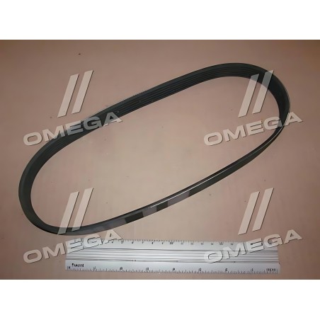 ➤ Полікліновий ремінь SKODA ROOMSTER (5J) 1.9 TDI 09/06-03/10 (Вир-во Contitech) 6PK780