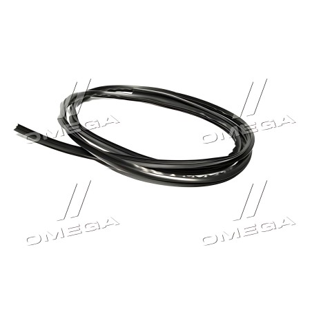 96648485 Ущільнювач скла заднього (вир-во GM) фото від Мотор-Агро Харків Україна