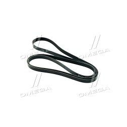 6PK2490 Ремінь поліклін. (вир-во DAYCO) фото від Мотор-Агро Харків Україна