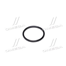 18AP006662 Кільце ущільнювальне Case T8040-50/MX/Mag.310 (238-5019/511356) (Agri Parts) фото від Мотор-Агро Харків Україна