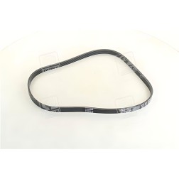 4PK874EE Ремінь полікліновий (Вир-во DAYCO) фото від Мотор-Агро Харків Україна