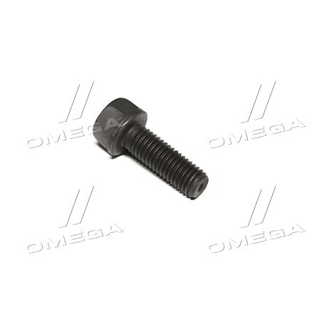 R520121 Болт M10 X 30 X 1,5 (10.9) фланцевий кріплення турбокомпресора (R520121) (JD) фото від Мотор-Агро Харків Україна