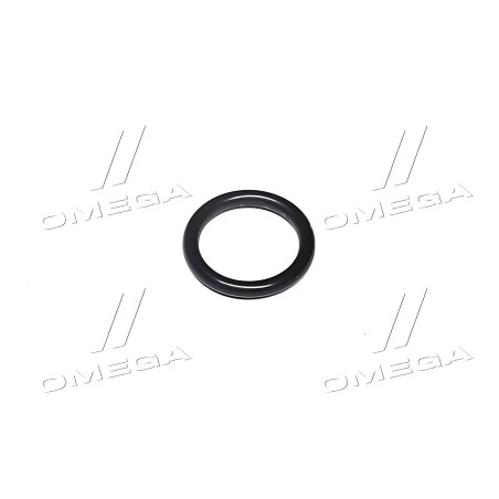 R113050 Кільце ущільнювальне 1/16 X 7/16 (G110295/X548829701000/R26286/272217/S.1905) (JD) фото від Мотор-Агро Харків Україна