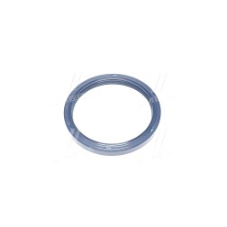 NJ251 Сальник двигуна (вир-во PAYEN) фото від Мотор-Агро Харків Україна