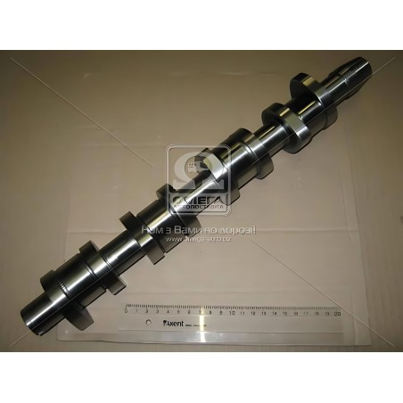 ➤ Розподільний вал VW GOLF/CADDY 2.0 SDI BDJ/BDK/BST 2004-2010 (вир-во AE) CAM968