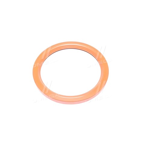 RD.236.1005160.А2.V Сальник вала коленчатого МАЗ задний c пруж. 140х170х13 FKM (фторкаучук) (RIDER) фото від Мотор-Агро Харків У