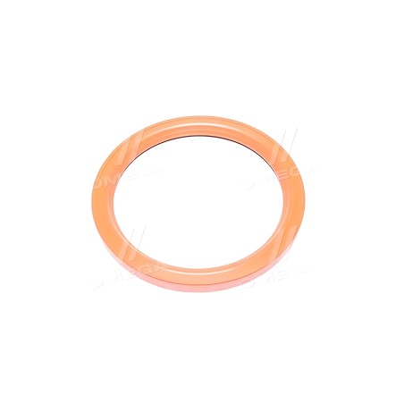 RD.236.1005160.А2.V Сальник вала коленчатого МАЗ задний c пруж. 140х170х13 FKM (фторкаучук) (RIDER) фото від Мотор-Агро Харків У RD.236.1005160.А2.V Сальник вала коленчатого МАЗ задний c пруж. 140х170х13 FKM (фторкаучук) (RIDER) фото від Мотор-Агро Харків У