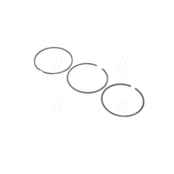 800050610050 Кільця поршневі RENAULT 89,50 2.5dCi 16V G9U 2,5x1,75x2,5 (вир-во KS) фото від Мотор-Агро Харків Україна