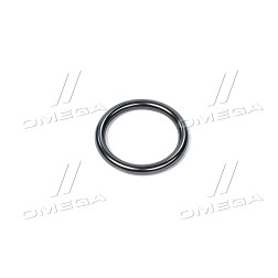 4890926 Кільце ущільнювальне форсунки Case T8040/Mag.310/335 (6901325) 3х20,9 мм. (CNH) фото від Мотор-Агро Харків Україна