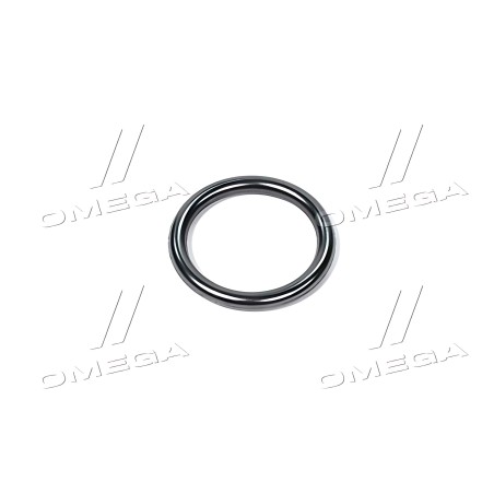 4890926 Кільце ущільнювальне форсунки Case T8040/Mag.310/335 (6901325) 3х20,9 мм. (CNH) фото від Мотор-Агро Харків Україна