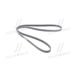 5PK1585 Полікліновий ремінь (Вир-во Contitech) фото від Мотор-Агро Харків Україна