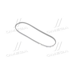 3PK856EE Ремінь полікліновий (Вир-во Dayco) фото від Мотор-Агро Харків Україна