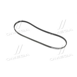 4PK1165 Ремінь поліклиновий (Вир-во Contitech) фото від Мотор-Агро Харків Україна