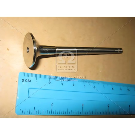 V94423 Клапан випускний VAG 2,5 TDi V6 24.1x6x100.5 (вир-во AE) фото від Мотор-Агро Харків Україна