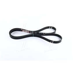 5PK1546 Ремінь поліклін. 5PK1546 (вир-во DONGIL) фото від Мотор-Агро Харків Україна