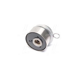 55574864 Ролик грм (вир-во GM) фото від Мотор-Агро Харків Україна