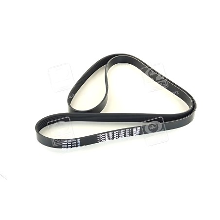 6PK1855 Ремінь поліклін. (вир-во DAYCO) фото від Мотор-Агро Харків Україна