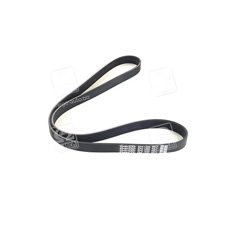 6PK1250 Ремінь поліклін. (вир-во DAYCO) фото від Мотор-Агро Харків Україна