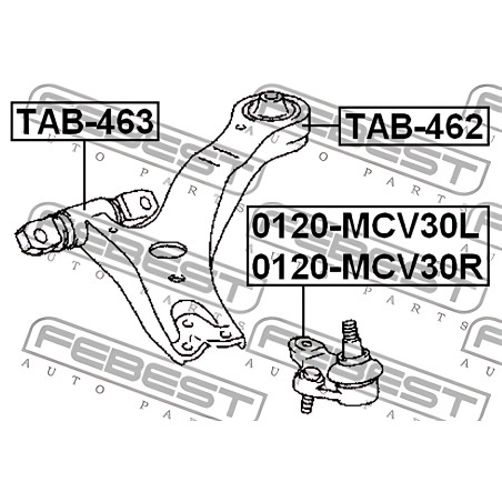 TAB-463 Сайлентблок важеля LEXUS RX, ES, TOYOTA CAMRY 04 перед. Міст низ спереду (Вир-во FEBEST) фото від Мотор-Агро Харків Укра