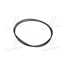 R37287 Кільце ущільнювальне корпуса переднього моста 11" x 0.139" JD8430/8530 (JD) фото від Мотор-Агро Харків Україна