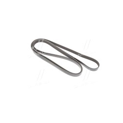 6PK2500 Поліклінові ремені Micro-V (Вир-во Gates) фото від Мотор-Агро Харків Україна
