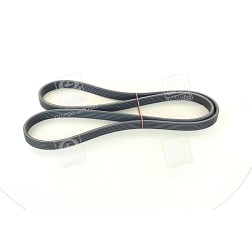 6DPK1825 Ремінь полікліновий (Вир-во ContiTech) фото від Мотор-Агро Харків Україна