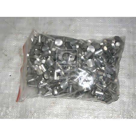 304117П-01 8х18-1КГ Заклепка 8х18 накладки колодки гальма КАМАЗ, ЗІЛ (1кг - 320шт) фото від Мотор-Агро Харків Україна