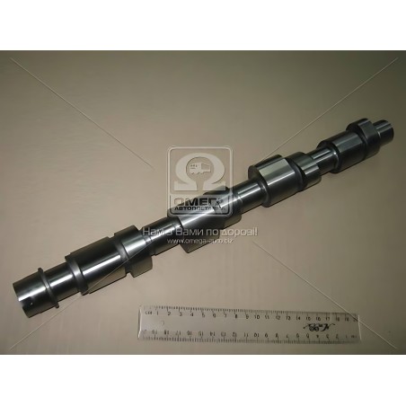 CAM648 Розподільний вал FIAT 1.4 12V 95-02 чугун (вир-во AE) фото від Мотор-Агро Харків Україна