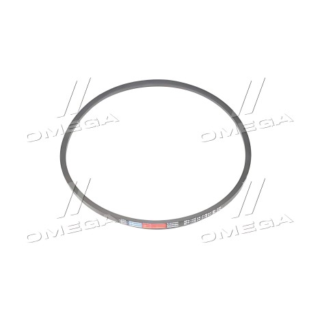 SPA 1157 Ремінь SPA 1157 (11-10-1157) (вир-во Rubena) фото від Мотор-Агро Харків Україна