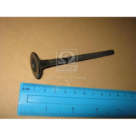 V95014 Клапан випускний FORD/MAZDA 1.4/1.6 16V ASDA/FYJA/HWDA/HWDB/SIDA 24.1X6X101.45( вир-во AE) фото від Мотор-Агро Харків Укр