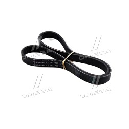 6PK1033 Ремінь полікліновий (Вир-во ContiTech) фото від Мотор-Агро Харків Україна