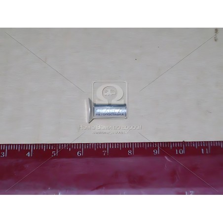 Г 10300-80 6х15-1КГ Заклепка 6х15 накладки колодки гальма АВТОБУС (1кг) фото від Мотор-Агро Харків Україна