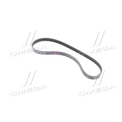 95990232 Ремінь поліклиновий (вир-во GM) фото від Мотор-Агро Харків Україна