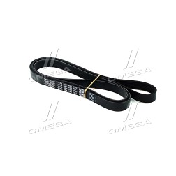 6PK1820 Ремінь поліклін. (вир-во DAYCO) фото від Мотор-Агро Харків Україна