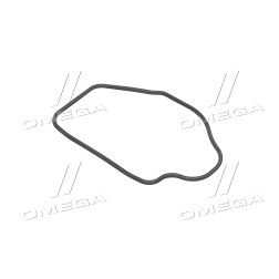 09157001 Ущільнювач (вир-во GM) фото від Мотор-Агро Харків Україна