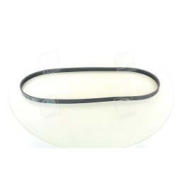 5PK1130 Ремінь полікліновий (Вир-во ContiTech) фото від Мотор-Агро Харків Україна