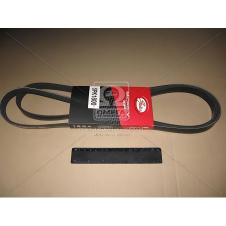 5PK1800 Ремінь поліклін. 5PK1800 (вир-во Gates) фото від Мотор-Агро Харків Україна
