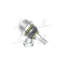 JBJ1049 Опора кульова OPEL MOVANO B, RENAULT MASTER III 10 перед. міст низ (Вир-во TRW) фото від Мотор-Агро Харків Україна